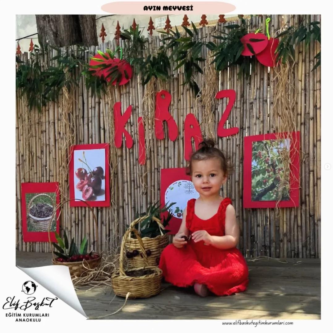 Ayın meyvesi kiraz – kırmızı elbiseli çocuk